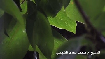 تلاوة جميلة من سورة الزخرف بصوت الشيخ محمد أحمد النجمي