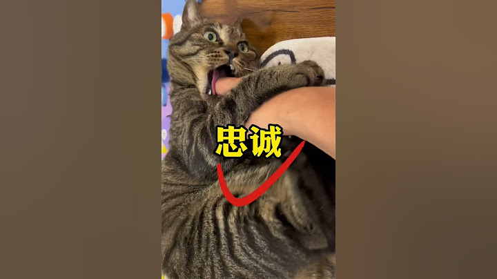 养猫就养狸花猫（狗头