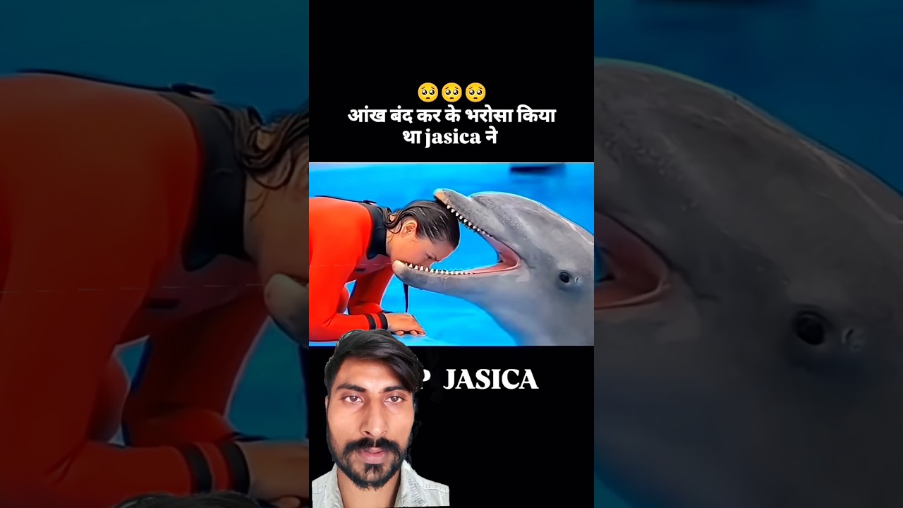 Viral Jessica Dolphin Attack Video Real OrFake😱