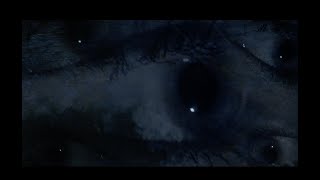 Aphex Twin- Windowlicker (music video)