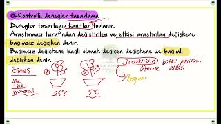 9. Sinif Bi̇li̇msel Yöntem Çalişma Basamaklari Konu Anlatimi