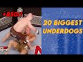 20 final seconds of 20 biggest underdog wins in ufc history betting lines included