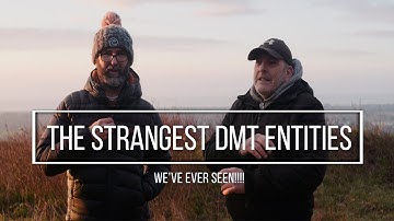 DMT entities the strangest we