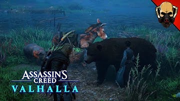 Winifred, Winnie The Pooh Easter Egg! [Assassin