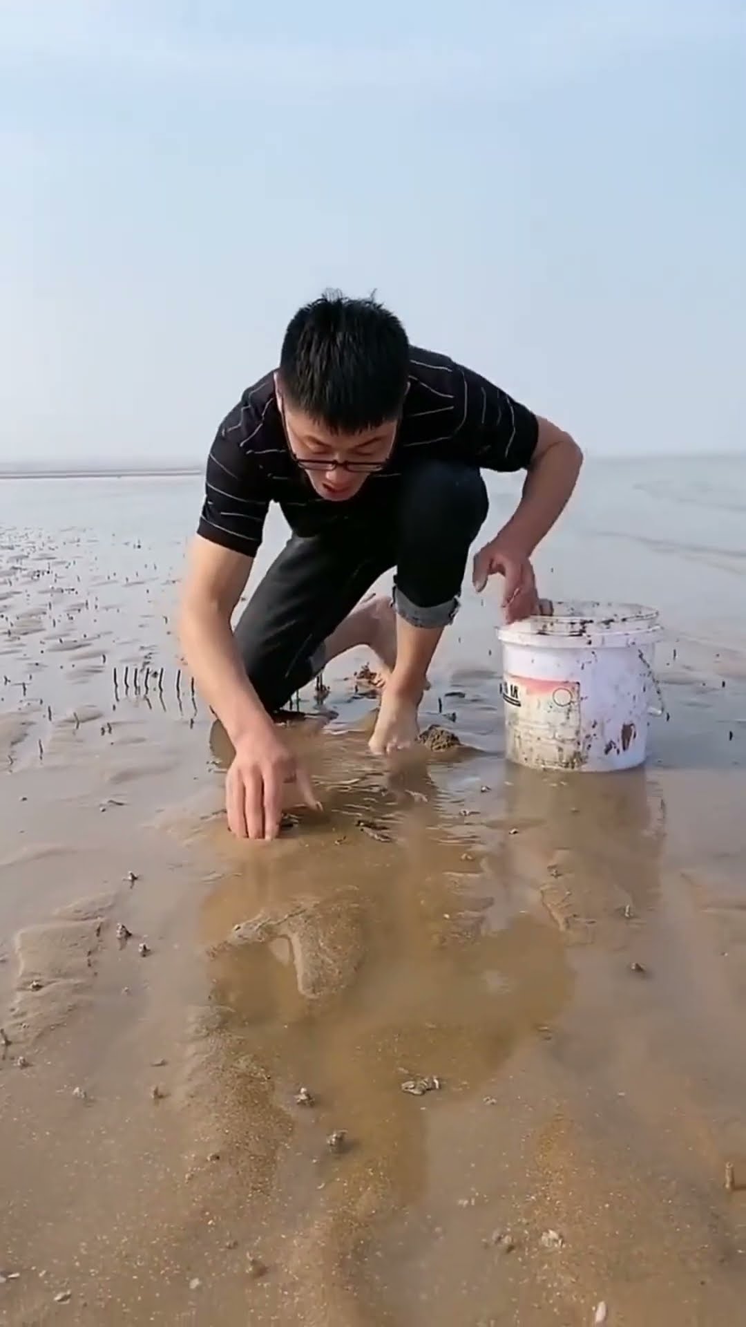 the crab was hidden in the sand #shortsvideo
