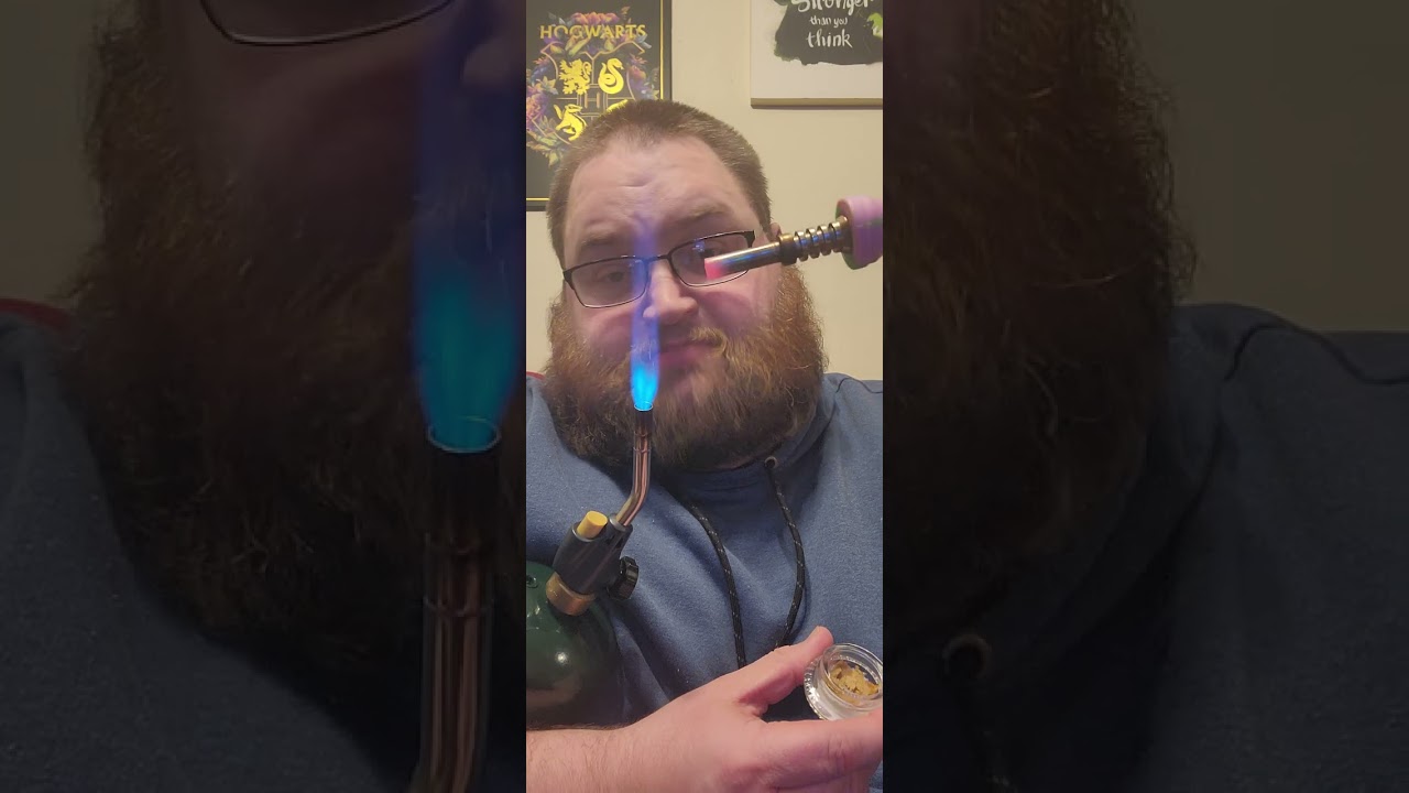 Dabs for beginners(Nectar Collector)
