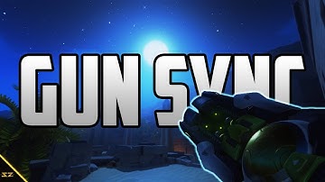 Overwatch Gun Sync - New Divide