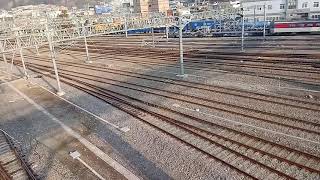 디젤기관차 7471호 견인 목포행 무궁화호 #1951 열차