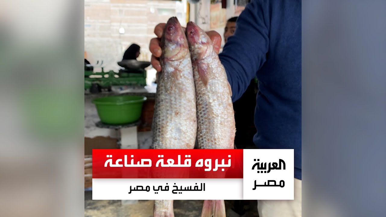 هنا قلعة صناعة الفسيخ في مصر.. 