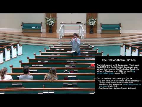 Video preview