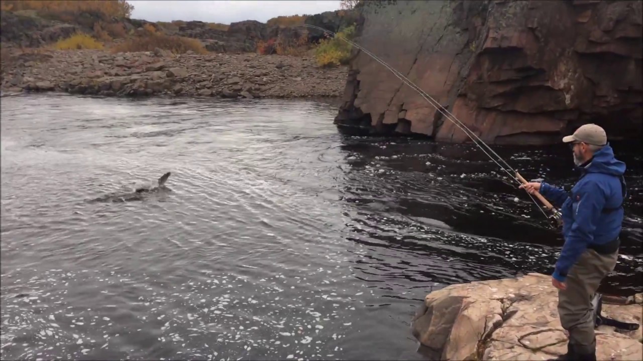 Chavanga river Autumn 2017. Kola Peninsula. Russia