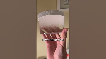 Thumbnail of Water Slime Clearing 💧🌈
