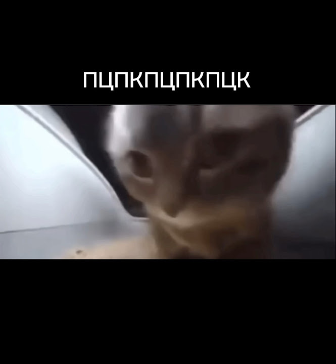 Мама ты Крутая Мама ты лучшая #meme #funny #смех #мама #котики #shorts ...
