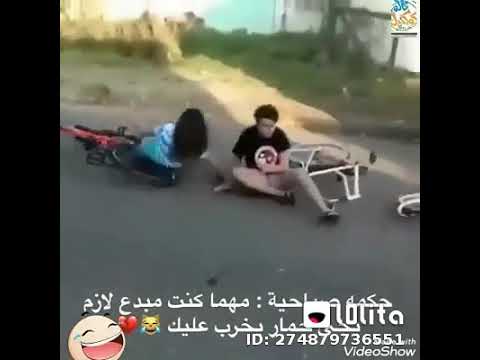 قلمشاه