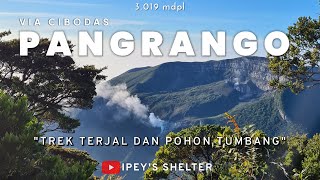 Pendakian Gunung Pangrango via Cibodas | Estimasi Waktu | Semua yang Perlu Anda Ketahui | FULL