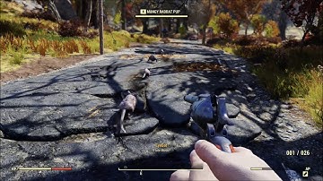 The Pied Eyebot Piper, Unique encounter - Fallout 76 B.E.T.A
