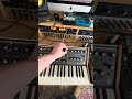 Ambient Jam. #moog #synth #electronicmusic #synthesizer #guitarpedals