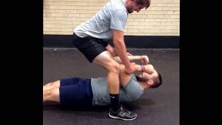 Partner Rows