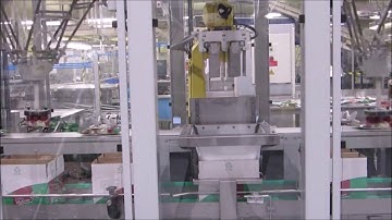 Robertpack robot case packer voor het verpakken van flow packs rookworsten in dozen