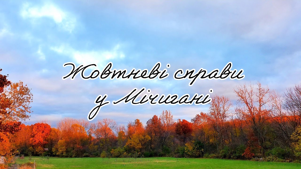 Чим займаємося у жовтні? Ловимо рибу, консервуємо яйця і готуємо сироп відкашлю