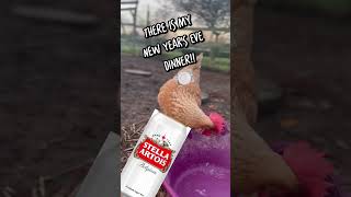 Cherry the chicken needs her Stella! #funnyanimals #animalshorts #funnyshorts #shorts #chicken