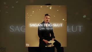 Sebbe Hauta - Sagan tog slut [Official Audio]