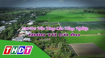 Vai trò nền tảng của nông nghiệp nhìn từ củ ấu | Tái cơ cấu nông nghiệp - 20/4/2025 | THDT