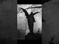 نهايه الدم الاحمر و قيامه مصاصي الدماء بالعلن Novel Booktok Vampire Darkromance Mafia نهايه الدم الاحمر و قيامه مصاصي الدماء بالعلن Novel Booktok Vampire Darkromance Mafia