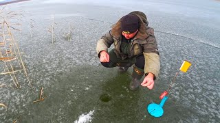 видео: ПЕРВЫЙ ЛЕД 2025 2026! рыбалка на жерлицы и ловля окуня по первому льду картинка: ПЕРВЫЙ ЛЕД 2025 2026! рыбалка на жерлицы и ловля окуня по первому льду