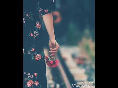 مقطع من اغنية شيلاك فى ننى عينى