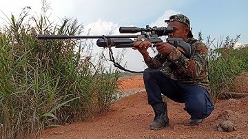 part || berburu belibis rawa tambang kalimantan