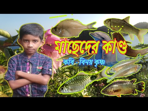 ভিডিও: পলাস কে?