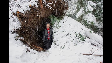 FALLEN TREE SHELTER, Winter SNOW STORM Survival, Bow Drill Fire!