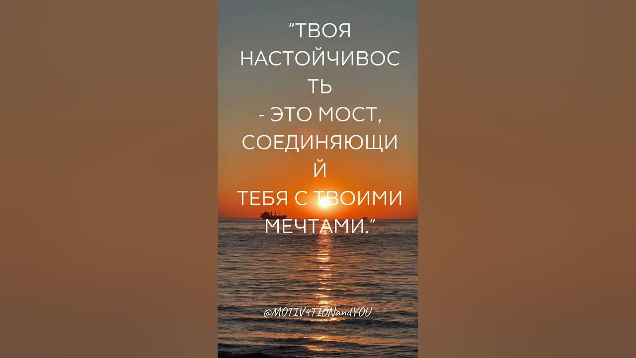 Твоя настойчивость - это... - YouTube