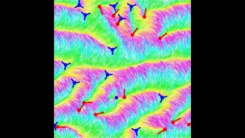 Simulated 2D Active Nematic in Polar Phase