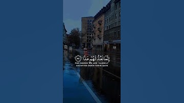 فلا تعجل عليهم إنما نعد لهم عدا | سورة مريم | القارئ عبدالرحمن مسعد