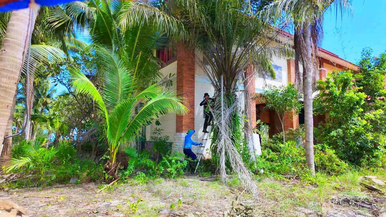 Природа захватила курорт его мечты… Пока мы не приехали