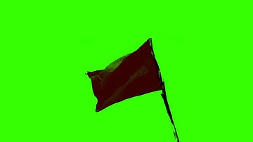 Real Waving Flag - Green Screen Animation