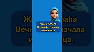 Атрибут Аллаha – Жизнь. Как рассказать о правильной вере в Аллаha.