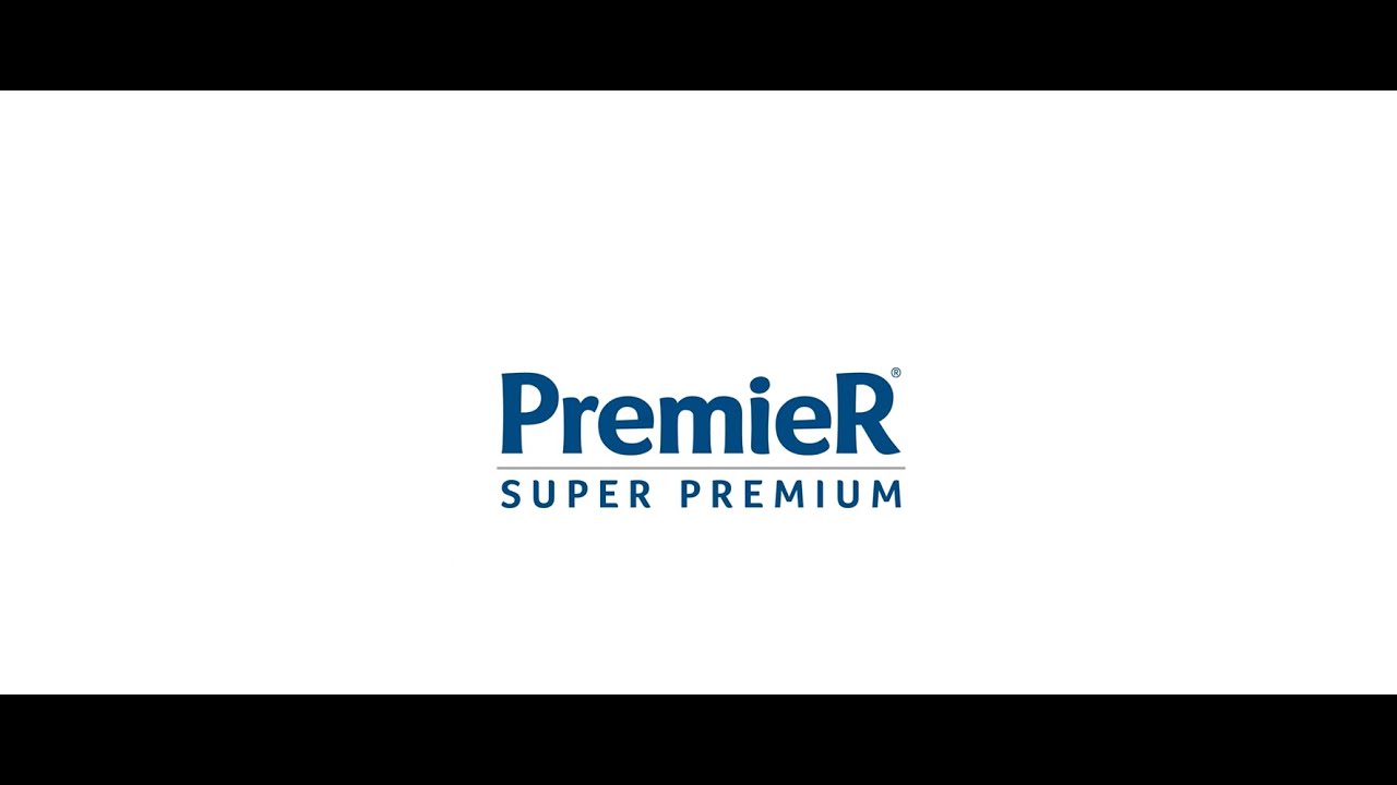 World Dog Show 2022 PremieRpet YouTube world-dog-show-2022-premierpet-youtube
