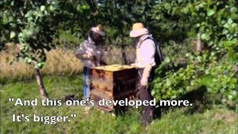 A Look Inside Antonio