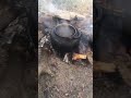 شاهي جمر شاهي جمر