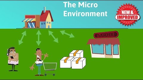 The Micro Environment 2.0 (part 3 The Business Environment)