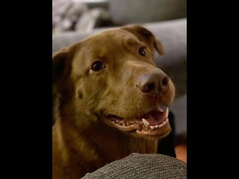 Culper's Canteen Cup S01E78 Culper's Canteen Cup S01E78