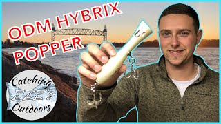 ODM HYBRIX POPPER Lure DOUBLE ACTION Testing #fishing