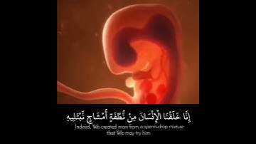 سورة الإنسان للشيخ ناصر القطامي
