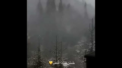 تلاوة هادئه تريح القلب _ سبحان وبحمده سبحان الله العظيم ❤