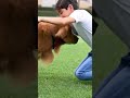 Is Dog Ka Reaction Dekh Ke Shock Ho Jaoge! 🐕😳#dogreaction #cutedog #viralvideo #doglover #funnydog