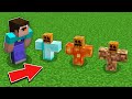 Minecraft NOOB vs PRO: WHY NOOB BUILDS MINI RAREST GOLEM IN THE VILLAGE Challenge 100% trolling