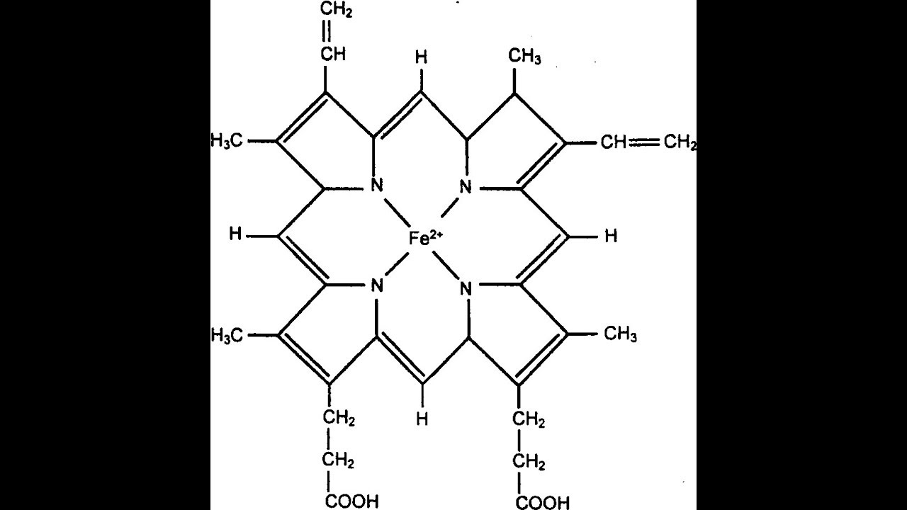 Хлорофилл комплекс